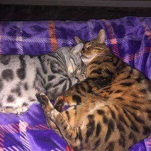 Meet your Posher, Tonya